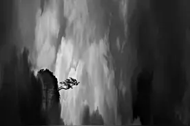 在线观展 | 第三届“郎静山杯”中国新画意摄影双年展报名展优秀展览——池海波作品《水墨沧海》图片