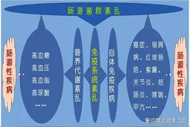 脆性糖尿病血糖忽高忽低怎么办？研究发现肠道菌群移植效果不错图片