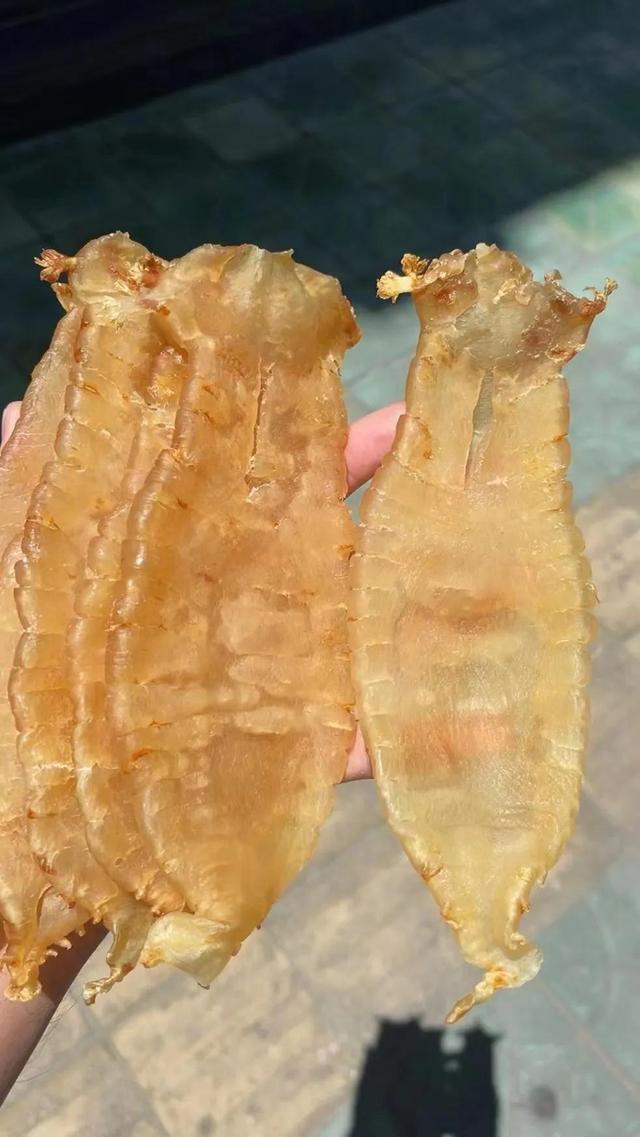 40头黄花胶多少钱一斤 2025年45头黄花胶一斤有多少