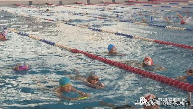 发放文惠卡、打造文艺惠民IP……提振文旅市场深圳有哪些实招?