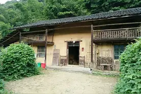 河南村庄遭蛇群入侵！性情粗暴，大规模蛇群进村，进家能不能打？图片