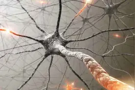 科学家发布惊人理论：宇宙可能是一个巨大的神经网络，它是活的？图片