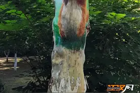 树上“长出”小动物！中山公园树洞彩绘太萌啦！图片