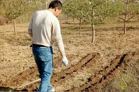 他，39岁就做了爷爷，令人羡慕的背后，却是苦不堪言的生活图片