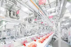 独家揭秘：“辣味休闲食品第一股”是怎样炼成的——探寻卫龙美味港交所主板上市的基因密码图片