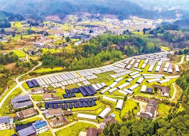 四川省民生研究会新媒体中心-官网