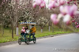 河北石家庄植物园：春光明媚 风景独好图片