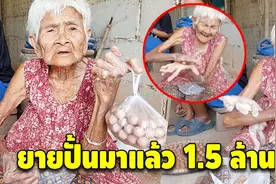 太善良！87岁泰国奶奶收养80多只流浪猫咪图片