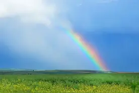 彩虹是怎么形成的？看完这篇文章，你会对彩虹有全新的认识图片