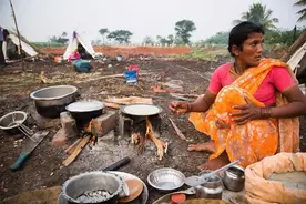 印度处在重度饥饿？耕地比我国多的印度，为啥粮食产量不如我国？图片