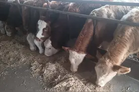 中毒治疗图片