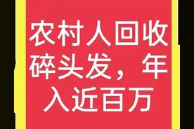 农村真人真事：有人回收碎头发，创造出年入近百万的高收入图片