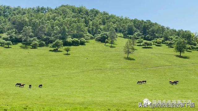 西北小众秘境：周祖陵、北石窟、崆峒山、龙门洞，你去过吗？