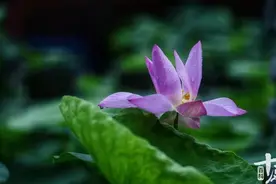 佛说洗澡能“治七种病”，得七种福！看完又涨知识了图片