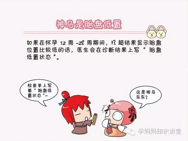 什么是前置胎盘（带你了解前置胎盘）