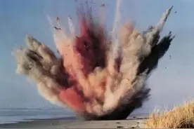 大连发现搁浅鲸鱼，即将发生爆炸？“鲸爆”的威力多恐怖？图片