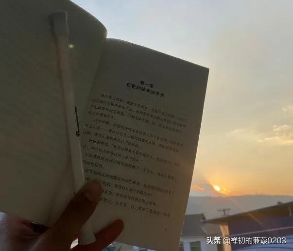 余额宝自动转入是什么意思，余额宝自动转入什么意思（我开通了余额自动转入）