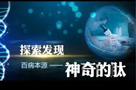 肽对人体的重大意义图片