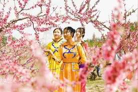 固安柳泉举办首届桃花文化旅游节图片