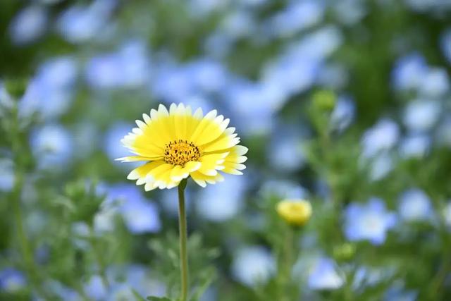 尼康Z8相机升级全新3.00固件：大幅提升自动对焦性能