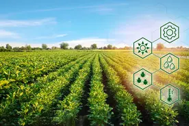 大豆起源于中国，为何还要大量从美国订购？背后有什么原因图片