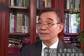 消费拉动经济增长是在误导中国：北大大学教授林毅夫图片