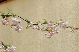 情绪文案｜每个人都有心事，很重，重到不想说图片