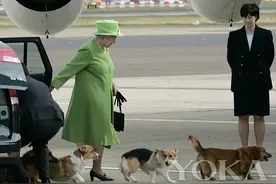 “纪念”可以，但不要哭错了丧图片