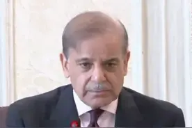 印巴停火协议18日结束 巴总理警告“勿轻举妄动” 印军称将继续停火图片