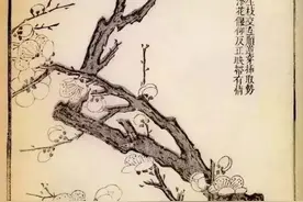 绘画教程：画梅花生枝各式图片