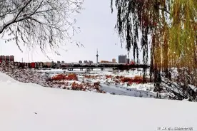 弗洛伊德成名之路（51）图片