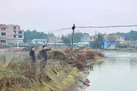 企业家向检察院提交撤案申请书，牵扯出陈年旧案……图片