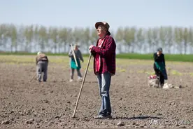今天十一月初一，俗语“穷人莫着急，只看冬月三个一”，啥意思？图片