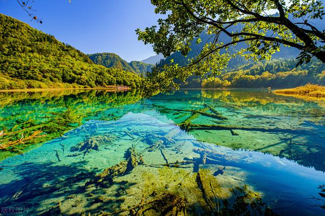 chatgpt:中国最美的10个自然风景,按顺序排名