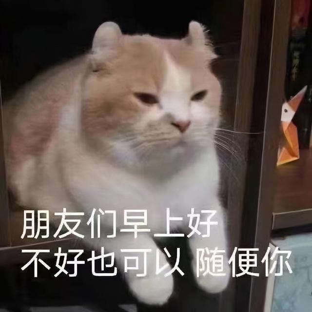 让人笑掉大牙的沙雕短句,治愈你的不开心(笑到窒息的沙雕文案短句)