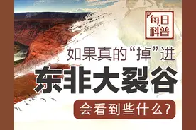 【山东科协每日科普】如果真的“掉”进东非大裂谷会看到些什么？图片