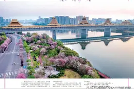 龙城紫荆香 风情韵味长｜柳州：线上线下活动多，多家媒体争相报道！图片