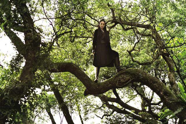 舒淇：当那个走出伤痛的女孩，成为“最佳导演”