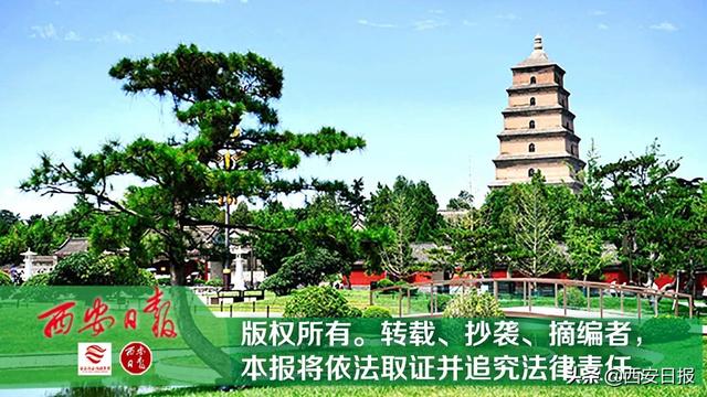阎良区认真贯彻落实西安市第十四次党代会精神 聚力“六个阎良”建设世界一流航空新城