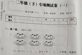 二年级（下）专项测试卷—数与代数，计算拼细心，统计在理解图片