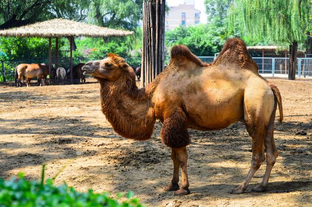 �������ȥ���棿��󾫲ʻ������Լ���϶���԰����������һ�����ɷ��ɵ����аɣ�