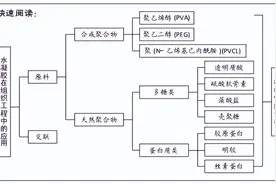 仿生水凝胶在软骨组织工程应用中的优势与潜力图片