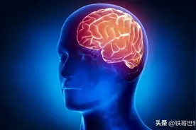 为什么人需要氧气？深入解析人体对氧气的需求图片