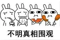 飞机“站票”也能买了？图片