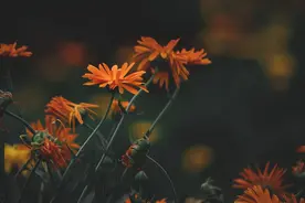 人与人之间的缘分，皆是命中注定图片