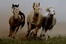 狂飙和高启强爆火，深层次的原因是什么？图片