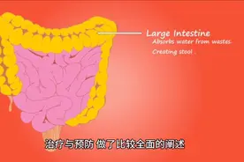 《  黄帝内经 》解读图片
