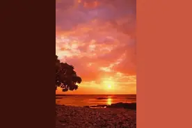 散文：人过五十，尽人事，听天命图片