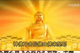 我的前世今生（一）图片