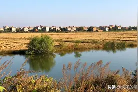 家庭承包责任制为什么好？图片